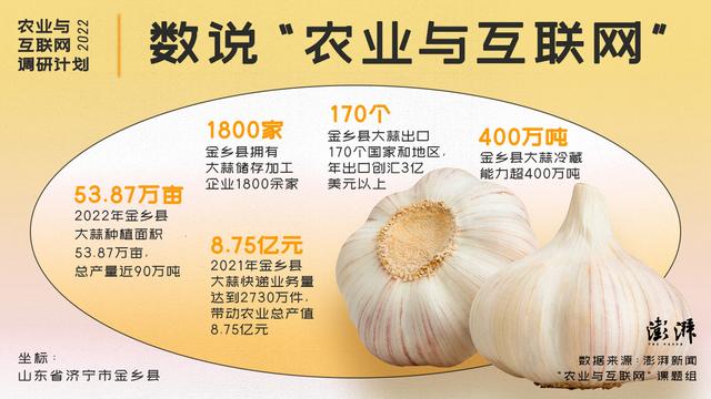 求購大蒜種子哪里有賣的，大蒜種子哪里可以買到？
