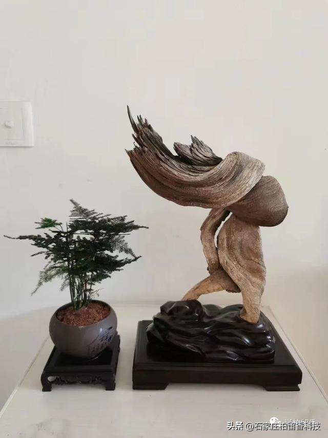 仙游手串京東貨源批發(fā)價(jià)多少，仙游手串京東貨源批發(fā)價(jià)多少錢？