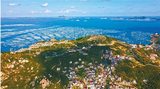 嵊泗海鮮干貨，嵊泗海鮮干貨哪里實惠？