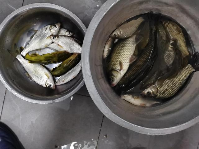 拼多多買魚鉤，拼多多買魚鉤怎么這么便宜？
