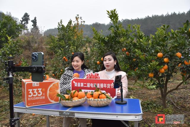 四川年貨直播電商貨源網(wǎng)，四川年貨直播電商貨源網(wǎng)站？
