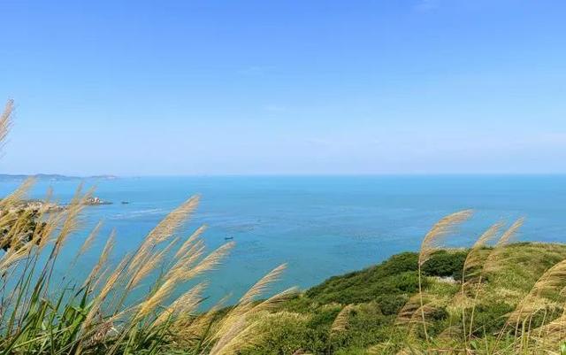 嵊泗海鮮干貨市場，嵊泗海鮮有哪些？