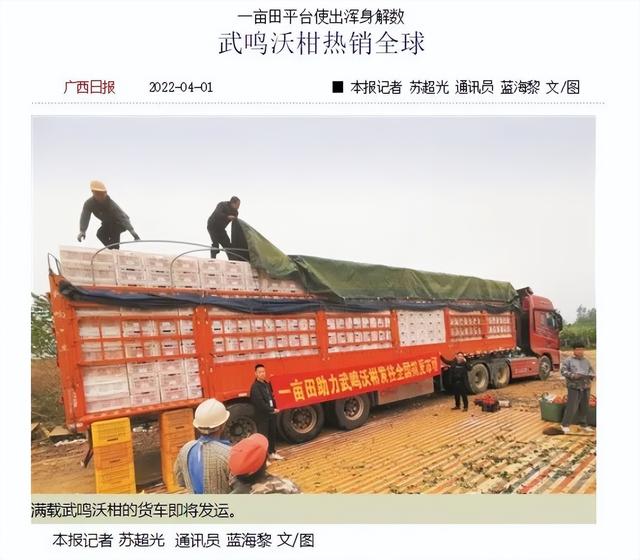 水果代理微信一手貨源，水果貨源免費(fèi)代理？