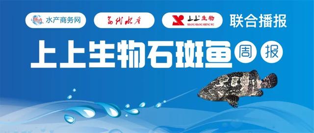 龍石斑魚價(jià)格表，龍石斑魚價(jià)格表圖片？