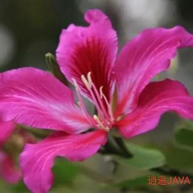 網(wǎng)店怎么與貨源伙伴友好相處呢英語，網(wǎng)店找貨源怎么談合作？