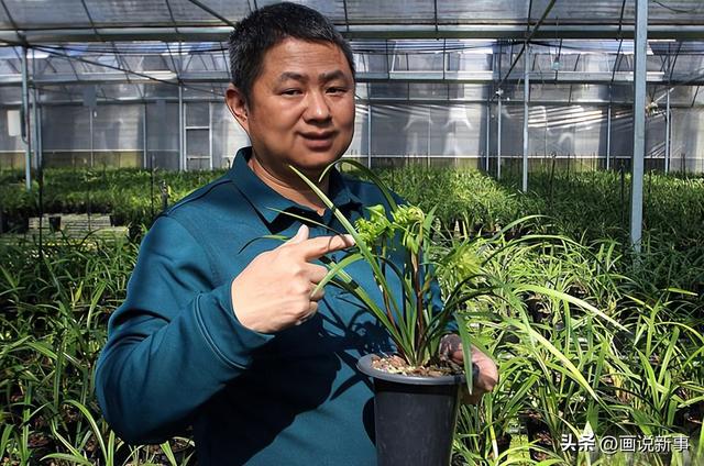 淘寶如何找花卉基地貨源呢，淘寶如何找花卉基地貨源呢圖片？