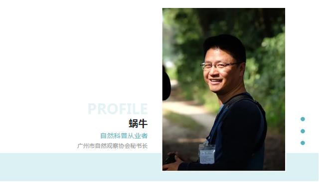 淘寶拼多多熱銷觀鳥器貨源拿貨是真的嗎，淘寶拼多多熱銷觀鳥器貨源拿貨是真的嗎安全嗎？