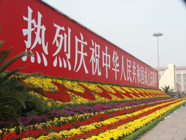 淘寶拼多多熱銷一串紅苗貨源拿貨是真的嗎，拼多多上的花苗有真的嗎？