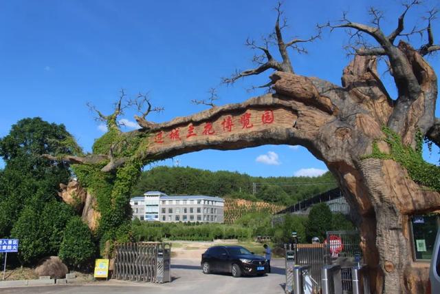 淘寶拼多多熱銷中國黨旗貨源拿貨是真的嗎，？