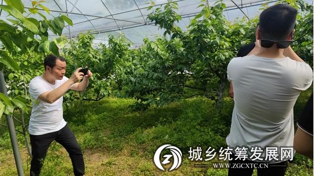 重慶做電商貨源的公司排名，重慶電商公司有哪些？
