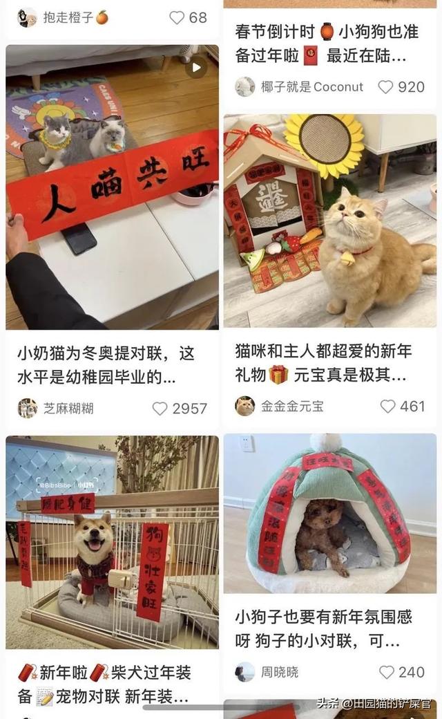 拼多多生鮮貨源，拼多多生鮮貨源怎么找？