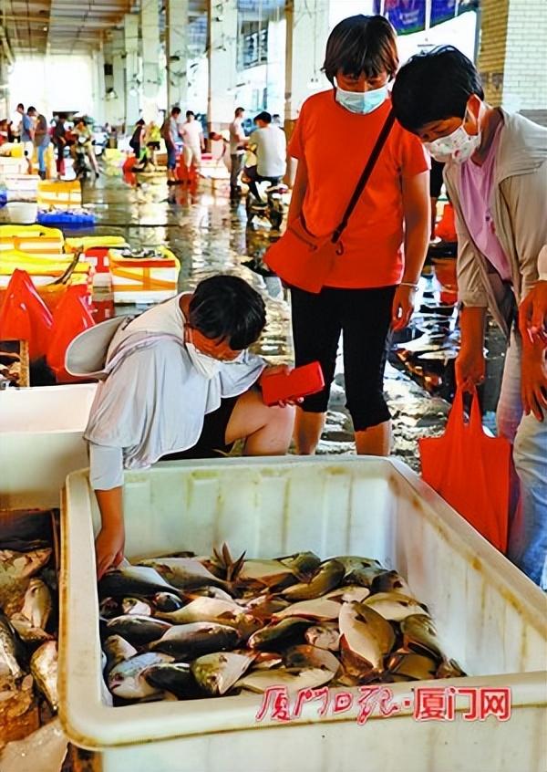 目魚批發(fā)價(jià)格，目魚批發(fā)價(jià)格表？