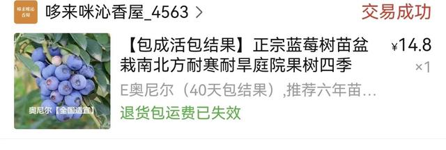 淘寶拼多多熱銷綠植設(shè)計(jì)貨源拿貨是真的嗎可信嗎，拼多多賣綠植？