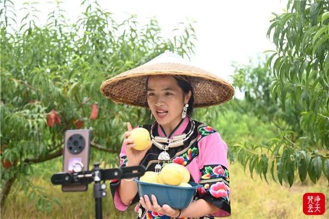 淘寶拼多多熱銷成人桃子貨源拿貨是真的嗎，淘寶拼多多熱銷成人桃子貨源拿貨是真的嗎安全嗎？