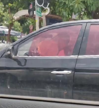 淘寶拼多多熱銷葵扇子貨源拿貨是真的嗎，葵扇子多少錢一斤？