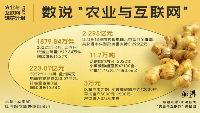 淘寶拼多多熱銷姜貨源拿貨是真的嗎，淘寶拼多多熱銷姜貨源拿貨是真的嗎安全嗎？